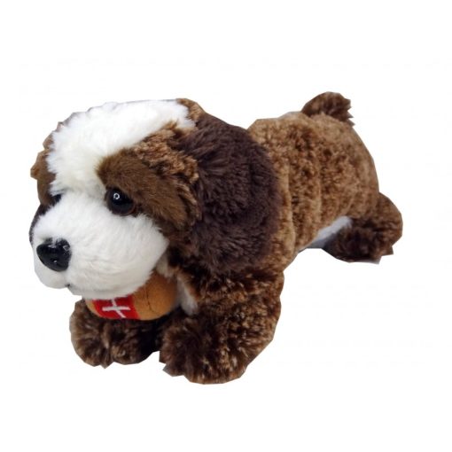 Trousse Saint-Bernard