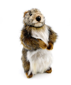 Peluche Marmotte Fluffy