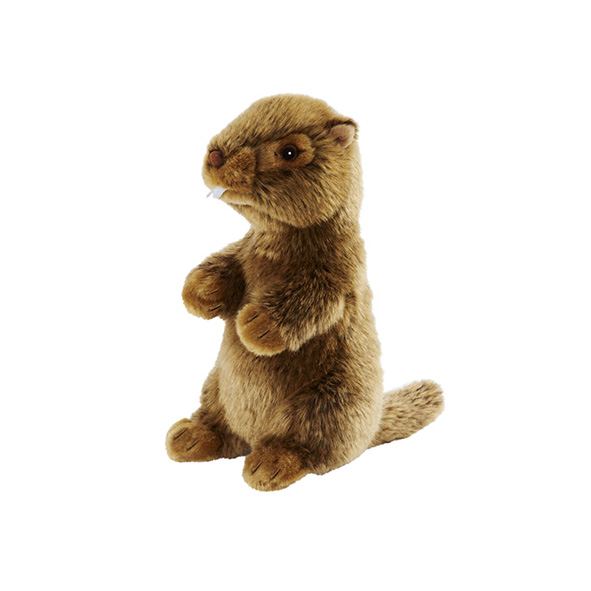 Peluche Marmotte 23 cm - Authentic Peluches